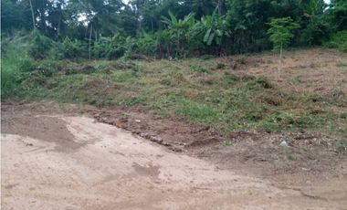 LOTE EN VENTA EN SAN ANTERO CORDOBA