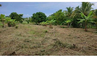 Lote en venta estratégico punto en el municipio de Coveñas
