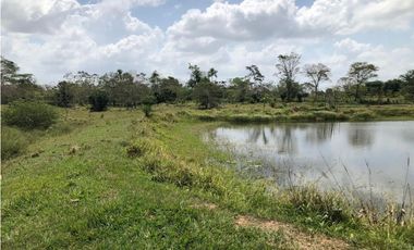 FINCA EN VENTA A 10 MINUTOS DE MONTERIA