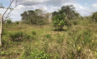 FINCA EN VENTA A 10 MINUTOS DE MONTERIA