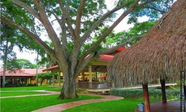 LOTE EN VENTA EN PILAMO POR DEBAJO DEL VALOR COMERCIAL