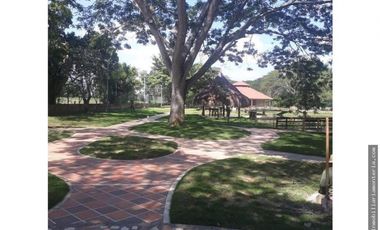 LOTE EN VENTA EN PILAMO POR DEBAJO DEL VALOR COMERCIAL