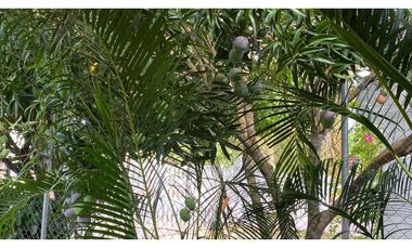 VENDE CASA EN CONJUNTO CERRADO VIA  A PLANETA RICA