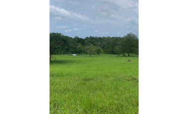 En Venta Casa finca, 7 hectáreas 
 En pueblo nuevo Córdoba