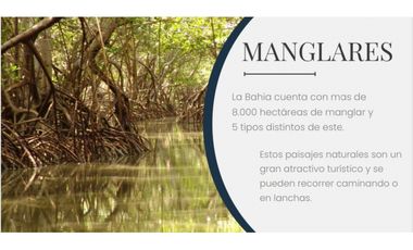 LOTES URBANOS EN VENTA EN SAN ANTERO CORDOBA