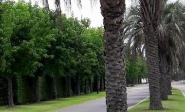 Terreno en venta en Las Cañuelas Club de Campo