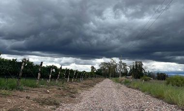 Finca en Venta en Ugarteche