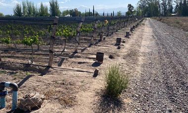 Finca en Venta en Ugarteche