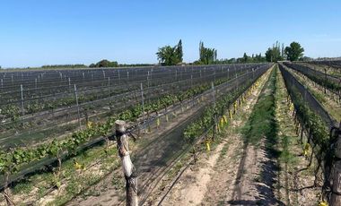 Finca en Venta en Ugarteche