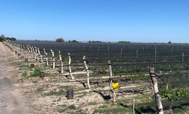 Finca en Venta en Ugarteche