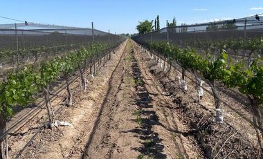 Finca en Venta en Ugarteche