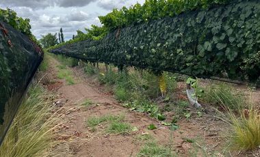 Finca en Venta en Ugarteche