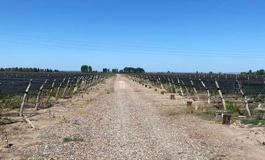 Finca en Venta en Ugarteche