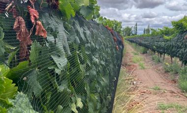 Finca en Venta en Ugarteche