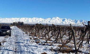Finca en Venta en Ugarteche