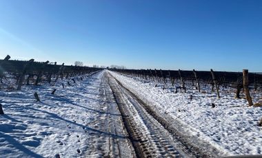 Finca en Venta en Ugarteche