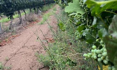 Finca en Venta en Ugarteche