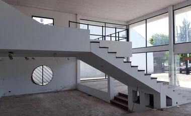 Local - Luis Guillon