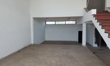 Local - Luis Guillon