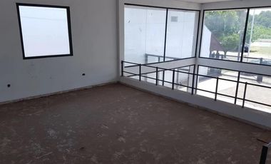 Local - Luis Guillon