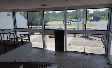 Local - Luis Guillon