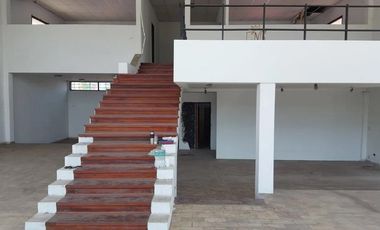 Local - Luis Guillon