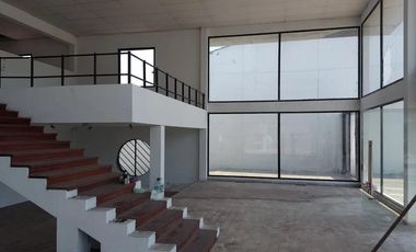 Local - Luis Guillon