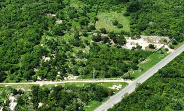 MACROLOTES EN VENTA EN TIXPEHUAL