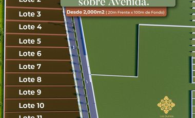 MACROLOTES EN VENTA EN TIXPEHUAL