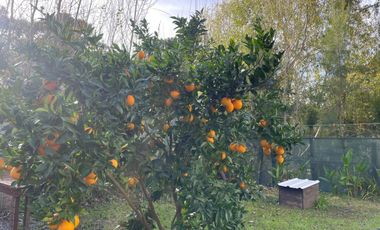 Casa en venta - 3 Dormitorios 3 Baños - Mar de Cobo