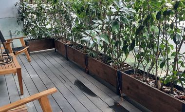 DEPARTAMENTO AMUEBLADO EN RENTA EN POLANCO