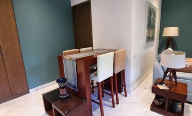 DEPARTAMENTO AMUEBLADO EN RENTA EN POLANCO