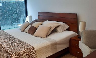 DEPARTAMENTO AMUEBLADO EN RENTA EN POLANCO
