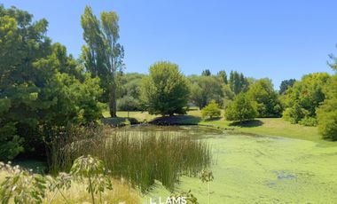 Alquiler temporario 25/26 - Casa estilo campo 4 ambientes - Rumencó