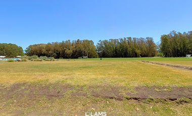 Alquiler temporario 25/26 - Casa estilo campo 4 ambientes - Rumencó