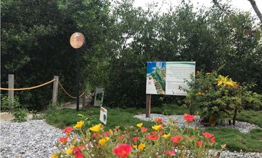 Apartamento de turismo con vista al mar - Playa Salguero - 005 R