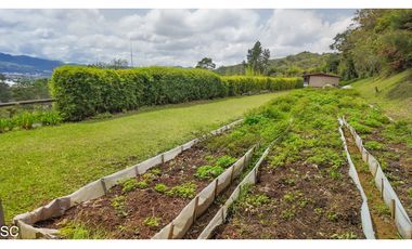 La Ceja 10.000m2, independiente, 2 Casas, via San Nicolas, 30m Aerop