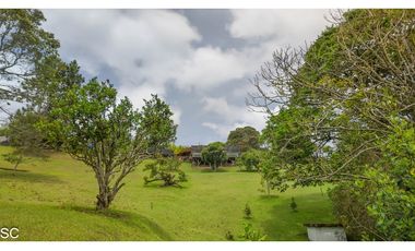 La Ceja 10.000m2, independiente, 2 Casas, via San Nicolas, 30m Aerop
