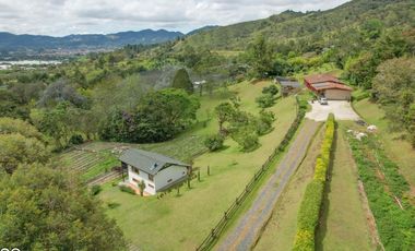 La Ceja 10.000m2, independiente, 2 Casas, via San Nicolas, 30m Aerop