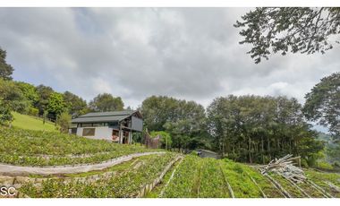 La Ceja 10.000m2, independiente, 2 Casas, via San Nicolas, 30m Aerop