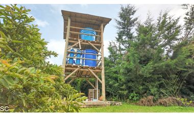 La Ceja 10.000m2, independiente, 2 Casas, via San Nicolas, 30m Aerop