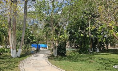 Quinta con Cenote en Tekat de 5.6 Hectareas