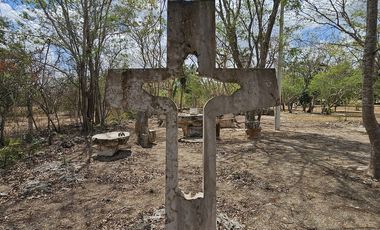 Quinta con Cenote en Tekat de 5.6 Hectareas