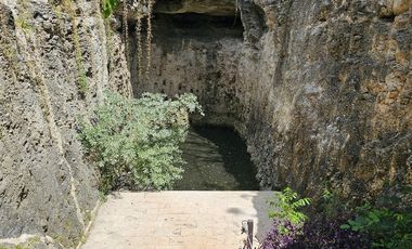 Quinta con Cenote en Tekat de 5.6 Hectareas