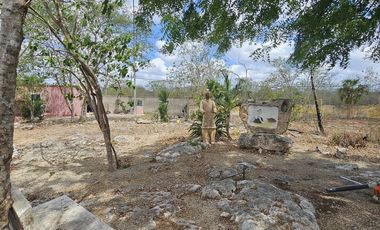 Quinta con Cenote en Tekat de 5.6 Hectareas