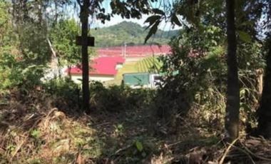 VILLA GRECIA / ALCADE DIAZ / ROD CAREW / TERRENO 2 HECTAREAS AS
