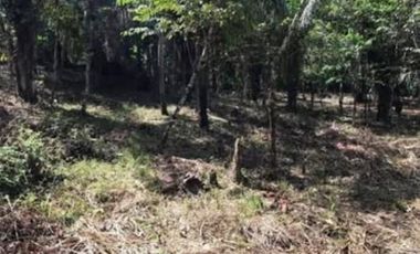 VILLA GRECIA / ALCADE DIAZ / ROD CAREW / TERRENO 2 HECTAREAS AS