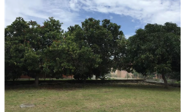 CHAME/ LA PAZ / 2 HABITACIONES / 1000 M2 / TERRAZA AMPLIA AS