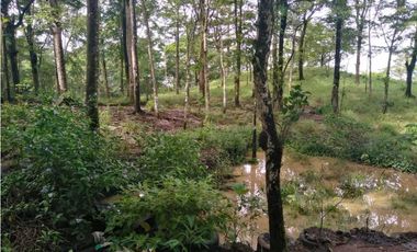 VENDO.TERRENO.DESDE.7000MTS CON CASITA - VIA GUALACA