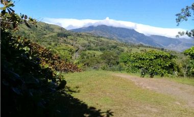 VENDO.TERRENO.DESDE.7000MTS CON CASITA - VIA GUALACA